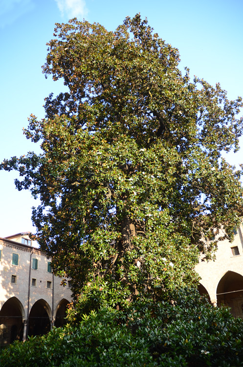 Bazilika svat�ho Anton�na