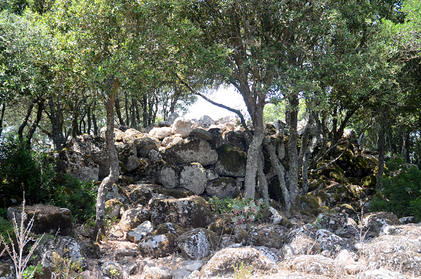 Nuraghe Nuracciassu