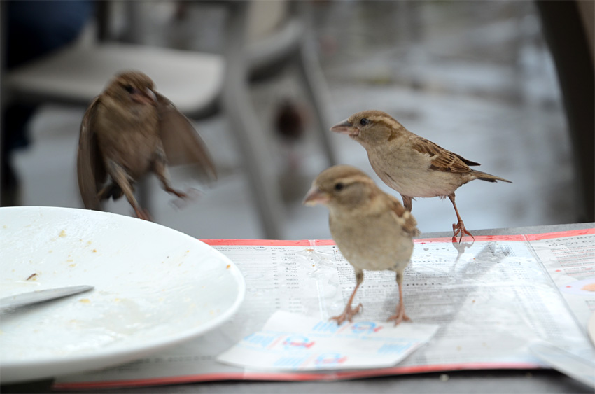 Galleria degli Uffizi