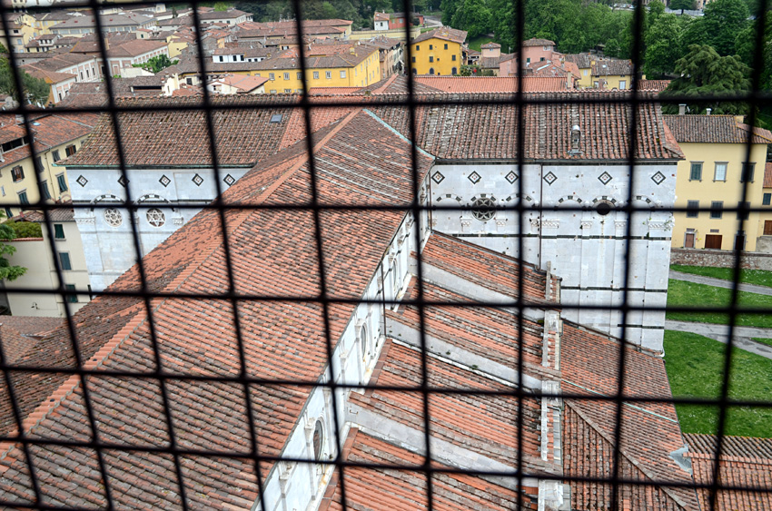 Lucca - katedrla San Martino