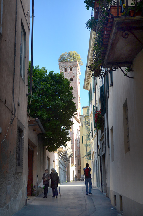 Lucca - Torre Guinigi