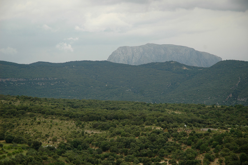 Roda de Isbena