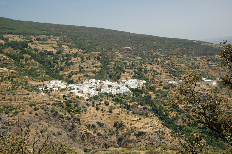 Sierra Nevada