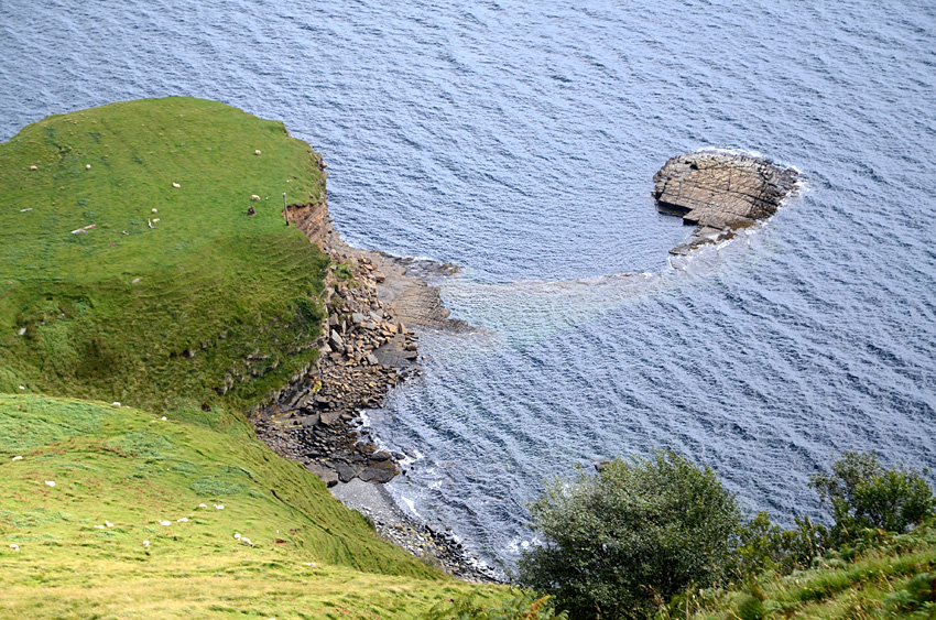 Rigg Viewpoint