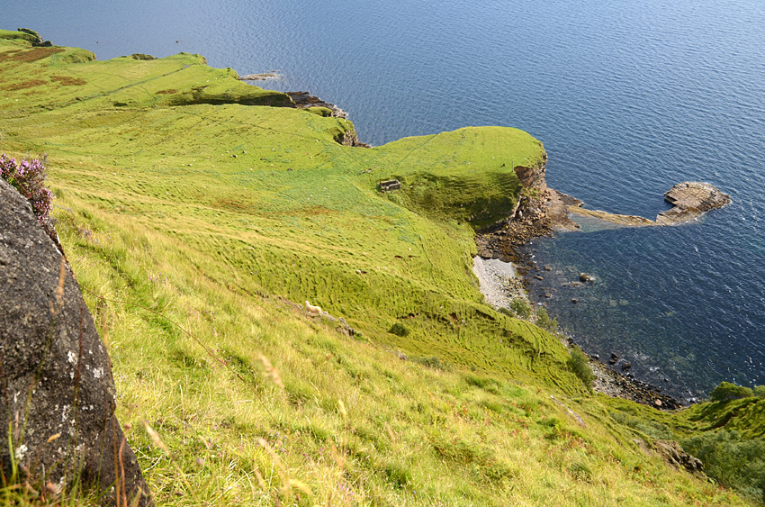 Rigg Viewpoint