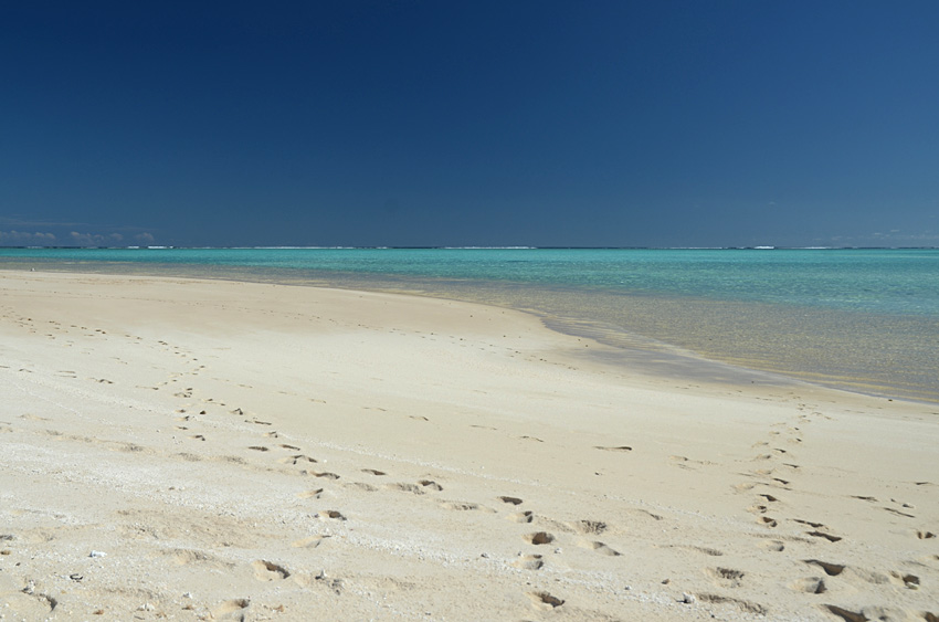 Pobe Ningaloo