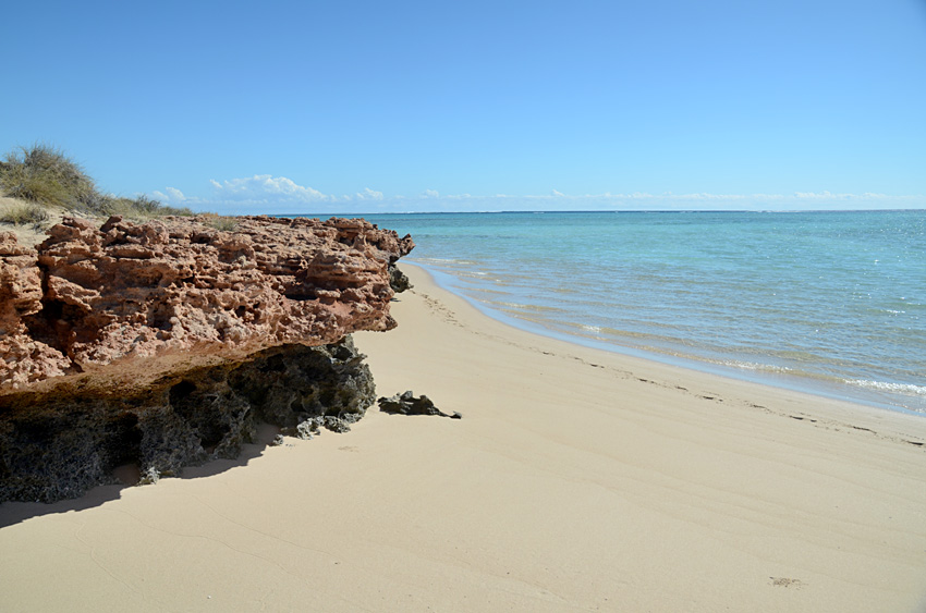 Pobe Ningaloo