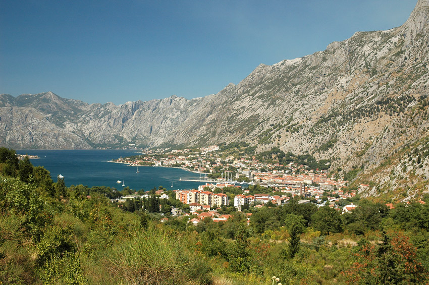 Kotor