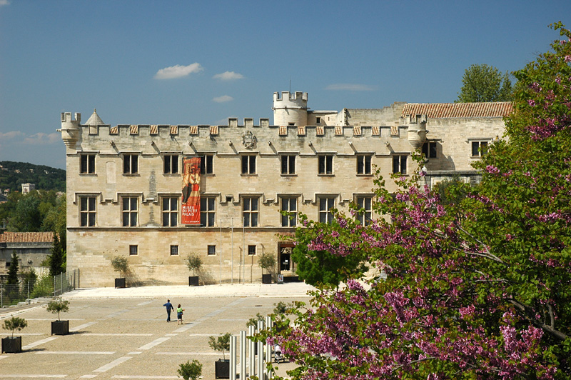 Avignon