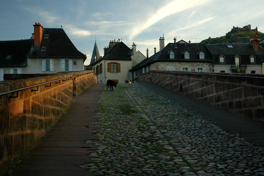 Espalion - Pont-Vieux