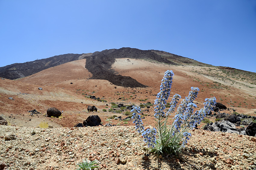 Nrodn park Teide