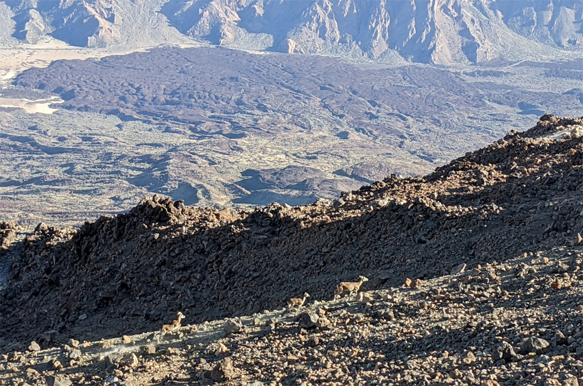 Nrodn park Teide