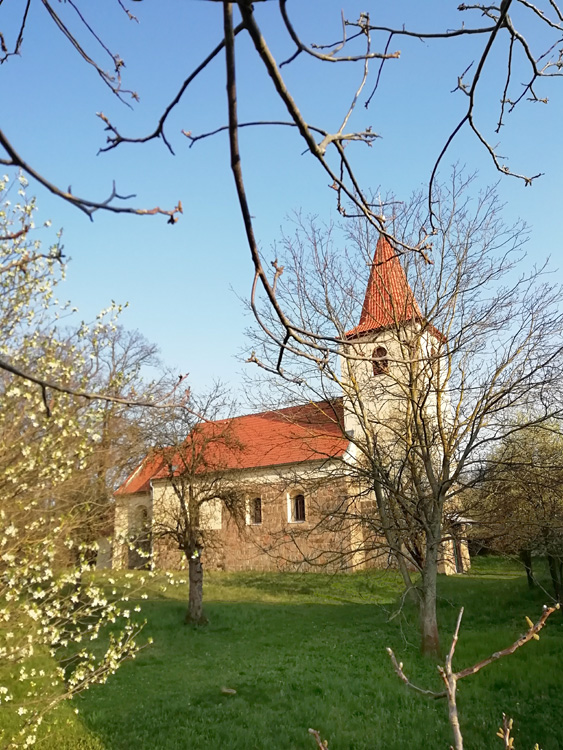 Olešky - kostel Narození Panny Marie