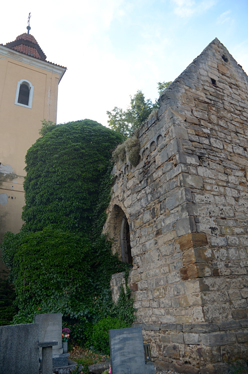 Vyehoovice - zcenina kostela svatho Martina