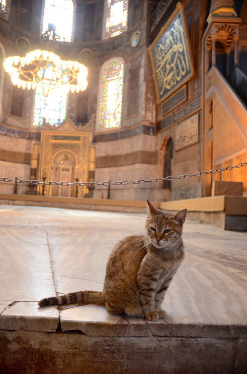 Istanbul - Hagia Sofia