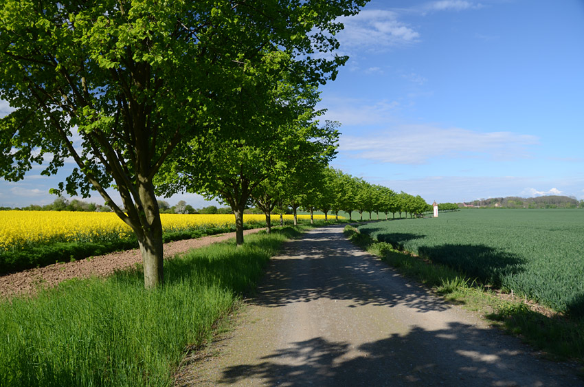 Poutní cesta z Prahy do Hájku