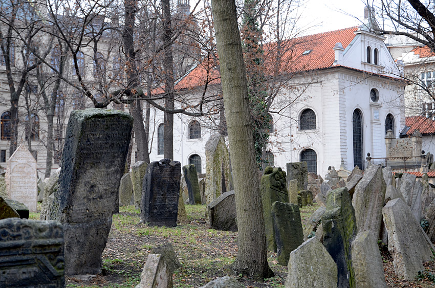 Klausová synagoga