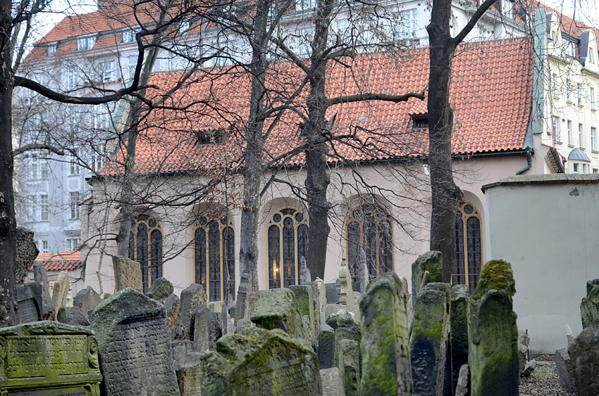 Pinkasova synagoga