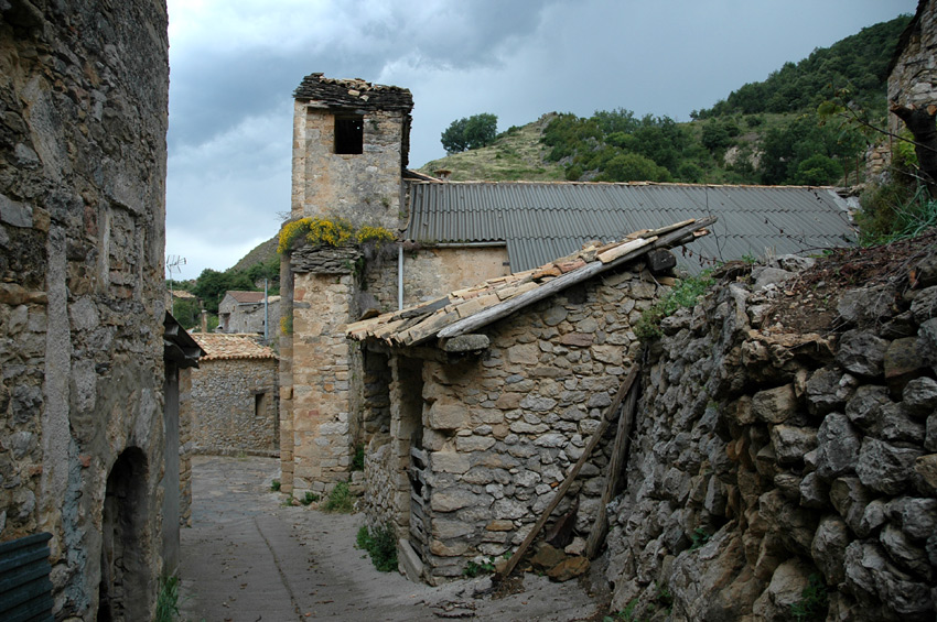 Merli - San Antonio de Padua