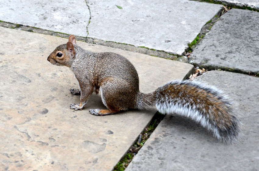 Londýn - katedrála Southwark