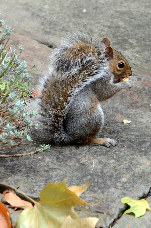 Londýn - katedrála Southwark