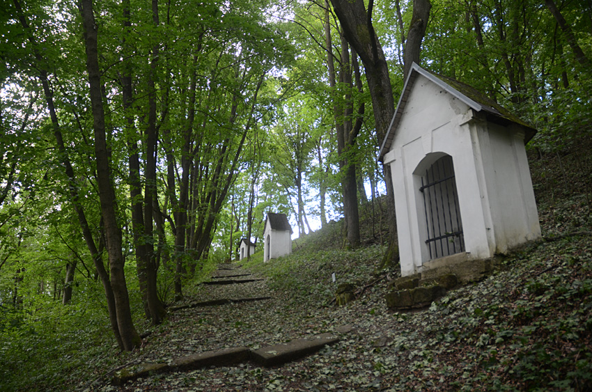 Hodkovice nad Mohelkou