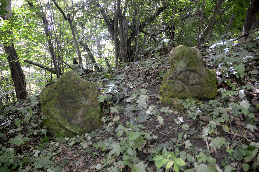 Hodkovice nad Mohelkou