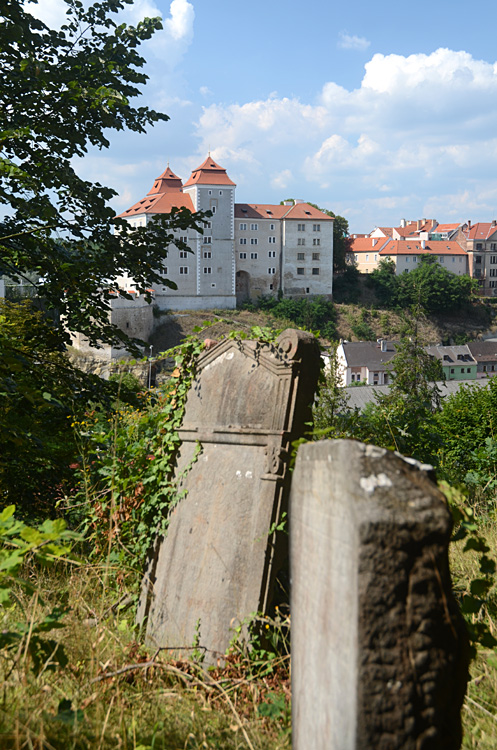 Mlad Boleslav - idovsk hbitov