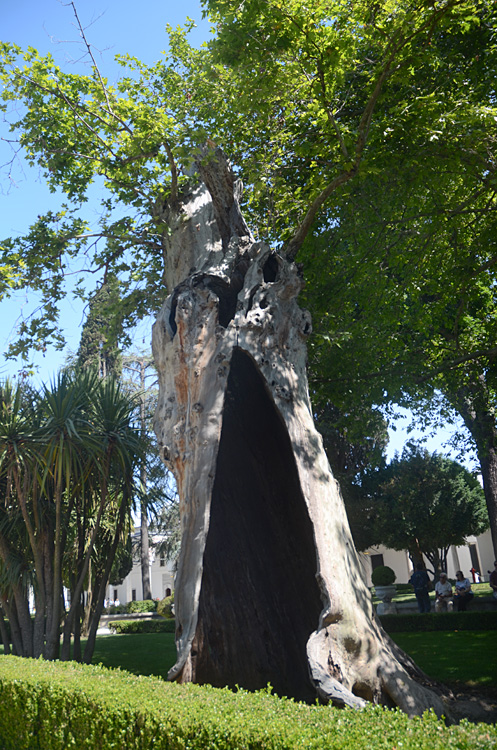 Istanbul - palác Topkapi