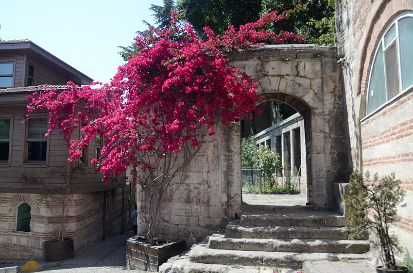 Istanbul - mešita Sokollu Mehmed Pasha