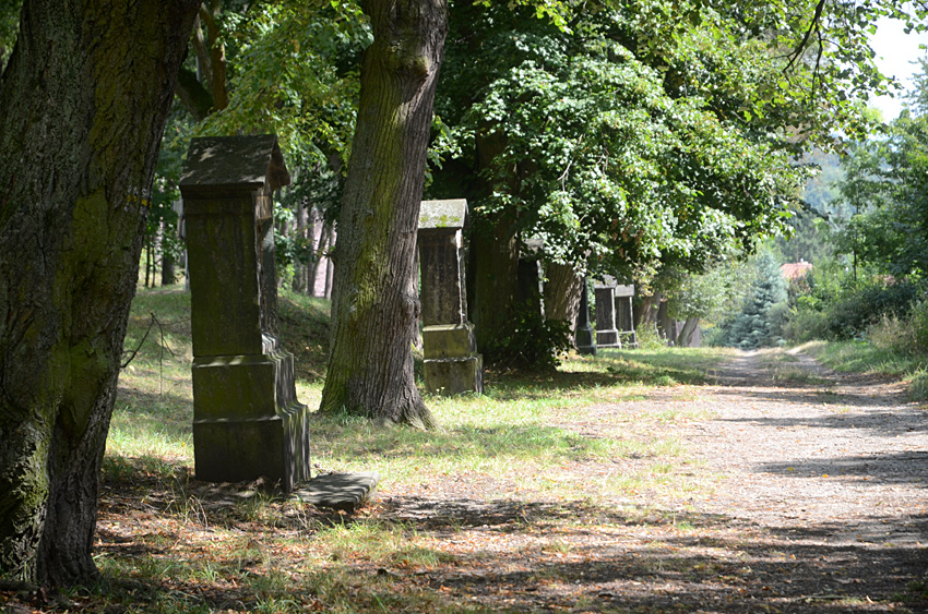 Bohosudov - křížová cesta